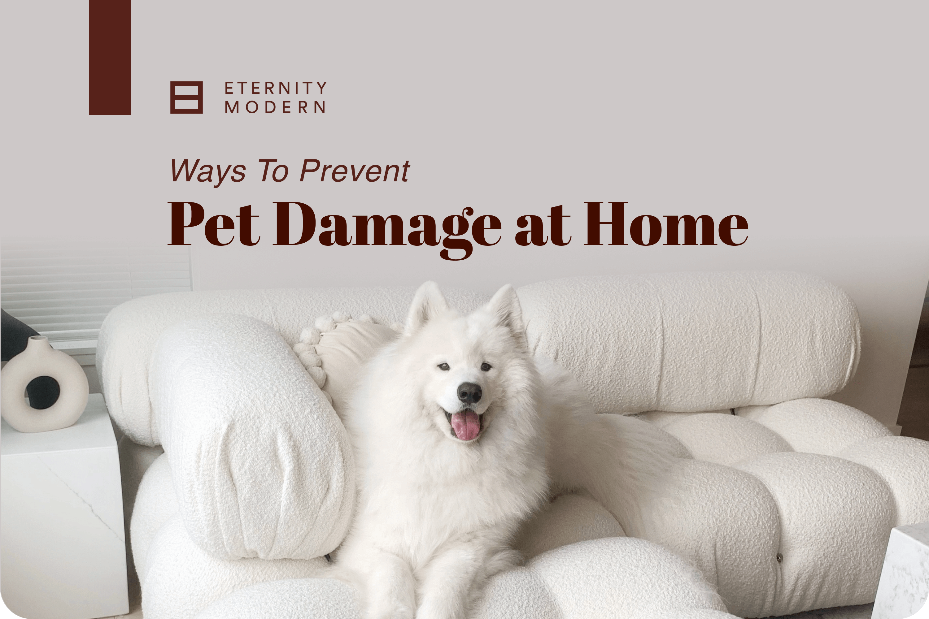 6 Ways Pets Destroy Your Home  Clever hacks to protect your property and sanity.